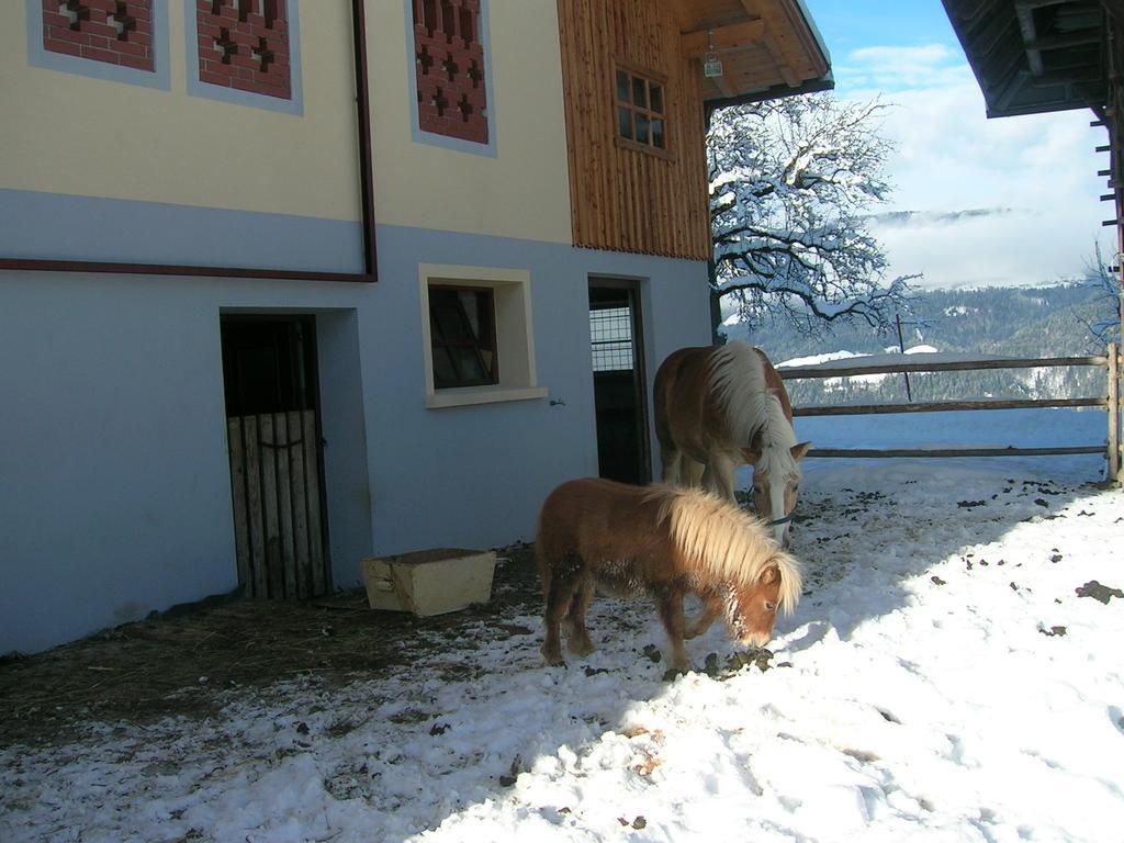 Apartmán Kollerhof Schlanitzen Exteriér fotografie